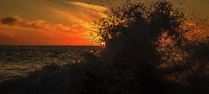 Ocean Spray
