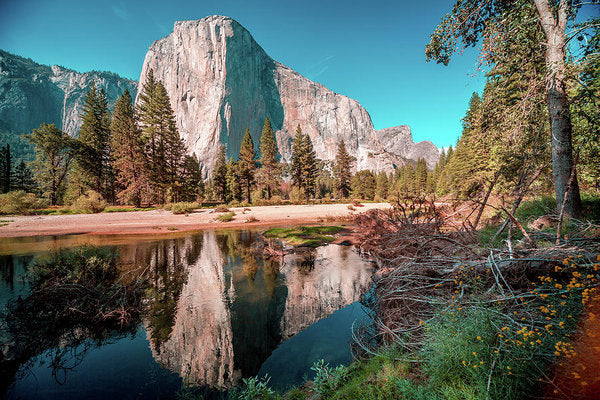 The Great Outdoors